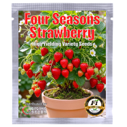 Four Seasons Strawberry Seeds Intact Pack 0.25gm icon