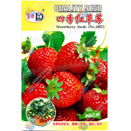 Four Seasons Strawberry Seeds Re-Pack - 0.1gm image