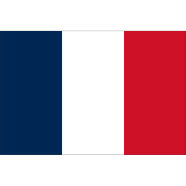 France Flag FIFA World Cup 2026 Printed Polyester Fabric image
