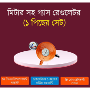 Gasoline Best Quality Gas Regulator with Meter (1Pcs Set) image