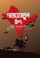 Gazwatul Hind Dheye Ashche Ki? image