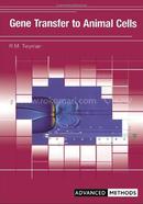 Gene Transfer to Animal Cells image