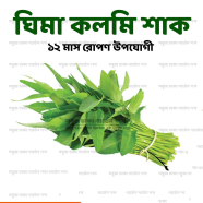 Ghima Kolmi Shaak