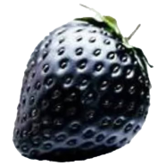 Giant Black Strawberry Fruit Seeds - 20 Pcs image