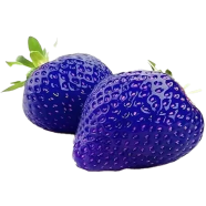 Giant Blue Strawberry Seeds - 20 Pcs image