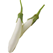 Global All Season White Eggplant Seeds (Intact Packet Seeds) - 30 Pcs image