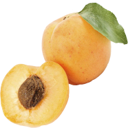 Global Apricot Tree 2 Pcs Seeds image