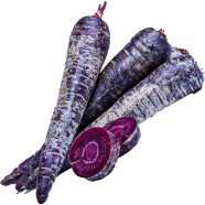 Global Black Carrot 100 Pcs Seeds image
