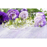 Global Camellia - 20 Pcs Seeds image