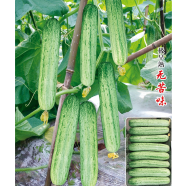 Global Cucumber 30 Pcs Seeds image