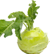 Global Olkopi / Kohlrabi Vegetables -300 Pcs Plus Seeds image