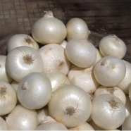 Global Rare White Onion Tree Seeds - 100 Pcs image