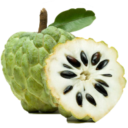 Global Suger Free Custard Apple 20 Pcs Seeds image