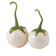 Global White Eggplant 20 Pcs Plus Seeds image