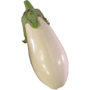 Global White Eggplant 20 Pcs Seeds image