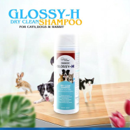 Glossy-H Dry Clean Shampoo 100Gm | Glossy-H Pet Shampoo image