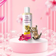 Glossy-H Kitten Cat Shampoo 200ml | Kitten Shampoo | Glossy-H Pet Shampoo image