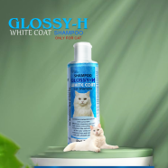 Glossy-H White Coat Cat Shampoo 200ml | Pet Shampoo | Glossy-H Pet Shampoo image
