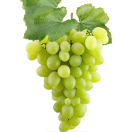 Graps Fruit Seed image