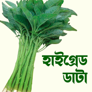 Green Data Shak Beej image