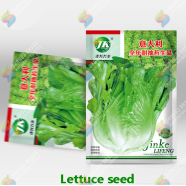 Green Lettuce Seeds Intact Pack - 10gm image