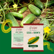 Green Long Cucumber F1 Hybrid image