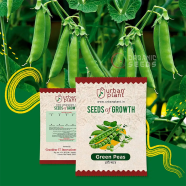 Green Peas (মটরশুঁটি) Seeds image