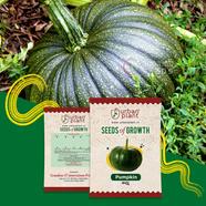Green Round Pumpkin Seed F1 image