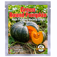 Green Round Pumpkin Seed F1 Intact Pack 0.25gm image