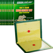 Green Killer Rat and Glue Mouse Catcher Trap icon