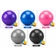 Gym Ball With Pumper icon