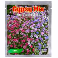 Gypsy Flower Seeds Intact Pack 0.25gm image