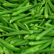 H Green Ladies Finger/Orka Seeds - 20 Pcs image
