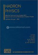 Hadron Physics image