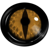 Halloween Cosplay Barclubhousea Orange Color Contact Lenses image