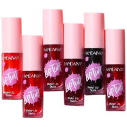 Handaiyan 2 In 1 Blusher And Lip Water Tint Makeup, Matte Velvet Watery Tint Lip Gloss- 05 image