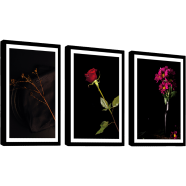 Hasain Mart Islamic Wall Canvas Combo 36 x 16 Inch (Total) image