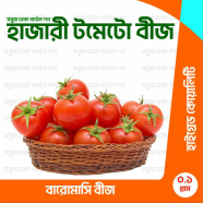 Hazari Baromasi Tomato Beej