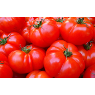 Hazari Baromasi Tomato Beej image