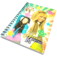 Hearts China 3D Notebook 160 image