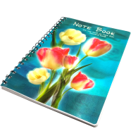Hearts China 3D Notebook 160 image