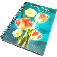 Hearts China 3D Notebook 240 image