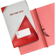 Hearts Record File - Clip/Ribbon - 24 Pcs image