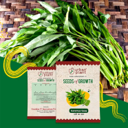 High Grade Kolmi Shak Seeds image