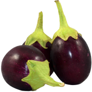 High Grade Taal Begun Beej image