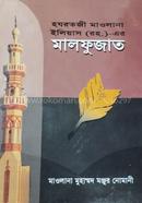 Hozrotji Mawlana Iliyas Rh. Er Malfujat image