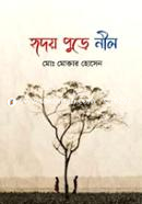 Hridoy Pure Nil image