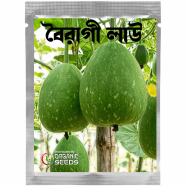 Hybrid Boiragi Lau Seeds 10 Pcs image