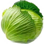 Hybrid F1 Cabbage Seeds - 20 Pcs image