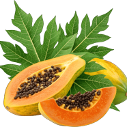 Hybrid F1 Yellow Gold Papaya 10 Pcs Seeds image